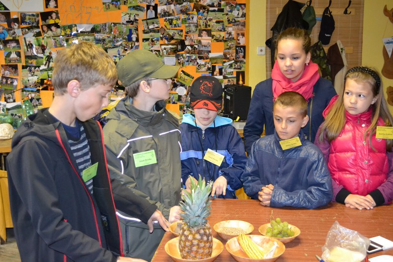 Velkomoravské dobrodružství v Boskovicích